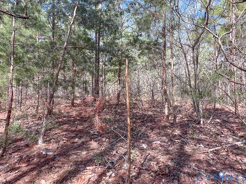 Tiny photo for 116.32 Acres Gilliam Mill Road, Dillwyn, VA 23936 (MLS # 2610794)