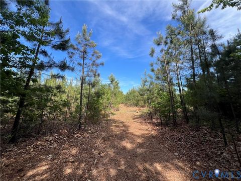 Tiny photo for 116.32 Acres Gilliam Mill Road, Dillwyn, VA 23936 (MLS # 2610794)