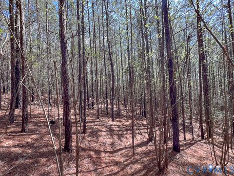 Tiny photo for 116.32 Acres Gilliam Mill Road, Dillwyn, VA 23936 (MLS # 2610794)