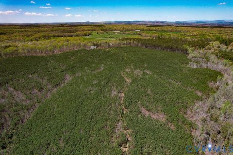 Tiny photo for 116.32 Acres Gilliam Mill Road, Dillwyn, VA 23936 (MLS # 2610794)
