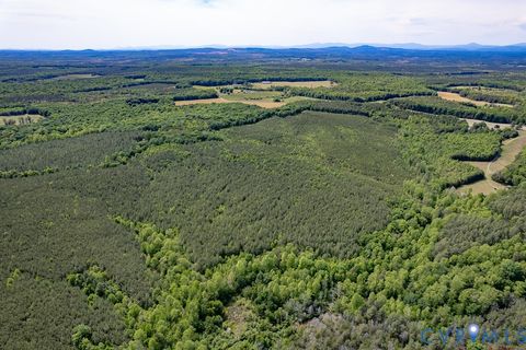Tiny photo for 116.32 Acres Gilliam Mill Road, Dillwyn, VA 23936 (MLS # 2610794)