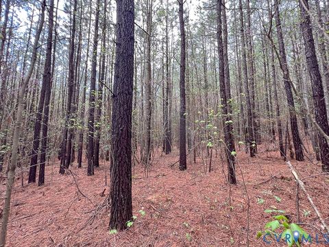 Tiny photo for 116.32 Acres Gilliam Mill Road, Dillwyn, VA 23936 (MLS # 2610794)