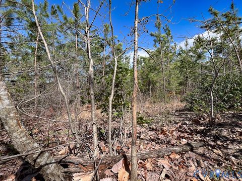 Tiny photo for 116.32 Acres Gilliam Mill Road, Dillwyn, VA 23936 (MLS # 2610794)