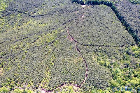 Tiny photo for 116.32 Acres Gilliam Mill Road, Dillwyn, VA 23936 (MLS # 2610794)