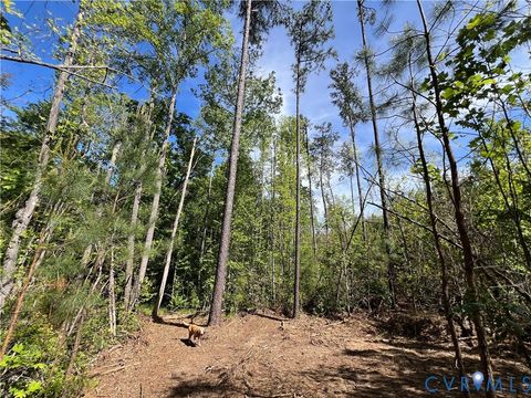 Tiny photo for 116.32 Acres Gilliam Mill Road, Dillwyn, VA 23936 (MLS # 2610794)