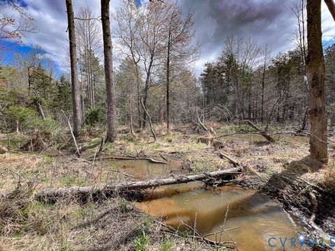 Tiny photo for 116.32 Acres Gilliam Mill Road, Dillwyn, VA 23936 (MLS # 2610794)