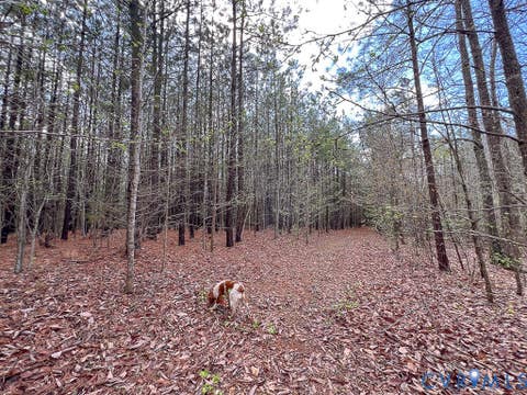 Tiny photo for 116.32 Acres Gilliam Mill Road, Dillwyn, VA 23936 (MLS # 2610794)