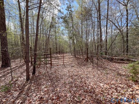 Tiny photo for 116.32 Acres Gilliam Mill Road, Dillwyn, VA 23936 (MLS # 2610794)