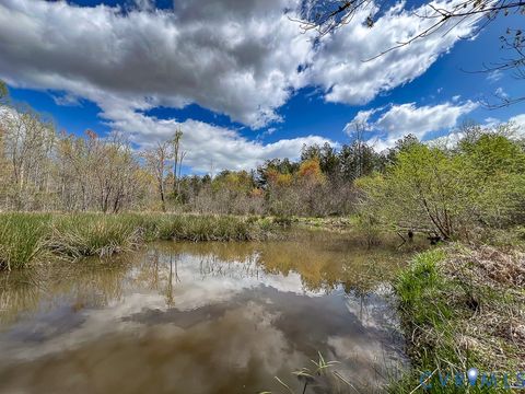 Photo of 116.32 Acres Gilliam Mill Road, Dillwyn, VA 23936 (MLS # 2610794)