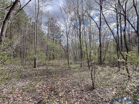 Tiny photo for 116.32 Acres Gilliam Mill Road, Dillwyn, VA 23936 (MLS # 2610794)