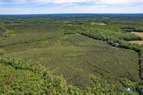 Tiny photo for 116.32 Acres Gilliam Mill Road, Dillwyn, VA 23936 (MLS # 2610794)
