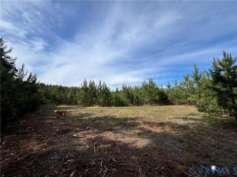 Tiny photo for 116.32 Acres Gilliam Mill Road, Dillwyn, VA 23936 (MLS # 2610794)