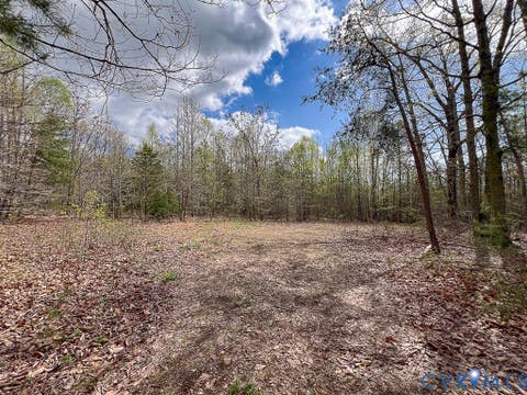 Tiny photo for 116.32 Acres Gilliam Mill Road, Dillwyn, VA 23936 (MLS # 2610794)