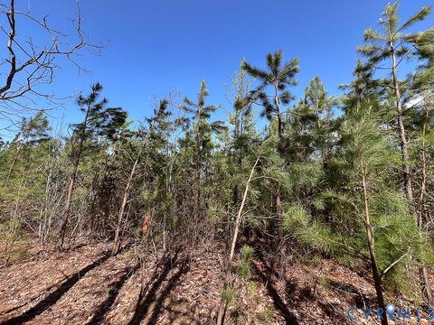 Tiny photo for 116.32 Acres Gilliam Mill Road, Dillwyn, VA 23936 (MLS # 2610794)