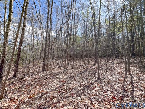 Tiny photo for 116.32 Acres Gilliam Mill Road, Dillwyn, VA 23936 (MLS # 2610794)