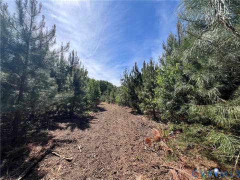 Tiny photo for 116.32 Acres Gilliam Mill Road, Dillwyn, VA 23936 (MLS # 2610794)