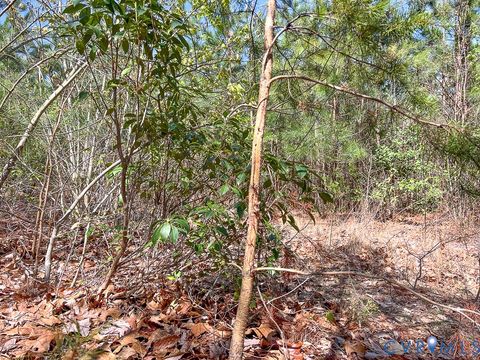 Tiny photo for 116.32 Acres Gilliam Mill Road, Dillwyn, VA 23936 (MLS # 2610794)