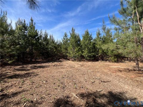 Tiny photo for 116.32 Acres Gilliam Mill Road, Dillwyn, VA 23936 (MLS # 2610794)