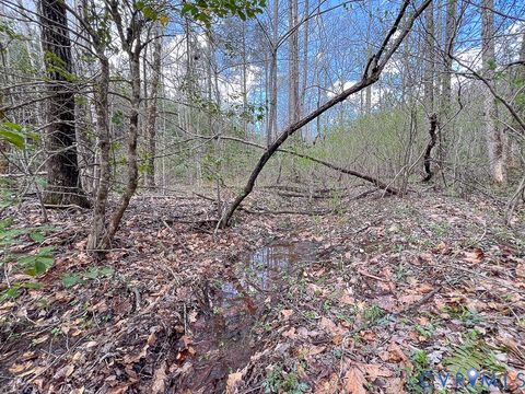 Tiny photo for 116.32 Acres Gilliam Mill Road, Dillwyn, VA 23936 (MLS # 2610794)