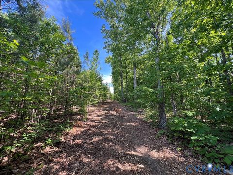 Tiny photo for 116.32 Acres Gilliam Mill Road, Dillwyn, VA 23936 (MLS # 2610794)