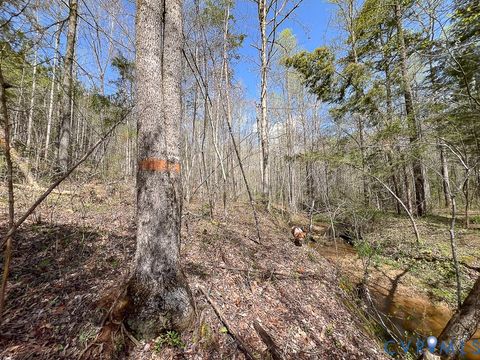 Tiny photo for 116.32 Acres Gilliam Mill Road, Dillwyn, VA 23936 (MLS # 2610794)