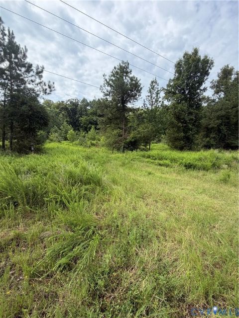 Tiny photo for tbd lot 3 Rolfe Highway, Dendron, VA 23839 (MLS # 2619870)