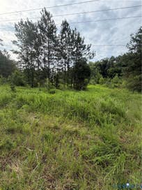tbd lot 3 Rolfe Highway Dendron VA 23839