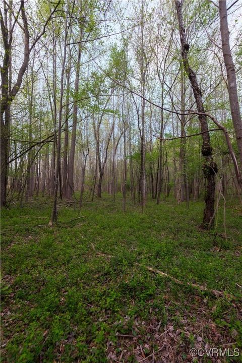 Tiny photo for 00 Poorhouse Road, Farmville, VA 23966 (MLS # 2510289)