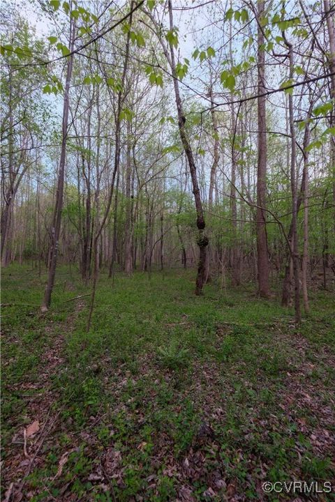 Tiny photo for 00 Poorhouse Road, Farmville, VA 23966 (MLS # 2510289)