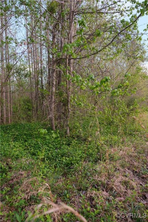 Tiny photo for 00 Poorhouse Road, Farmville, VA 23966 (MLS # 2510289)
