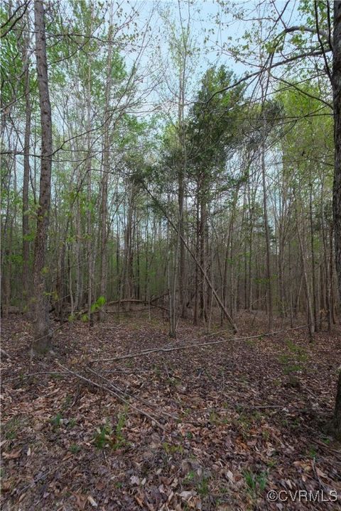 Tiny photo for 00 Poorhouse Road, Farmville, VA 23966 (MLS # 2510289)