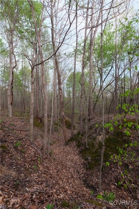 Tiny photo for 00 Poorhouse Road, Farmville, VA 23966 (MLS # 2510289)