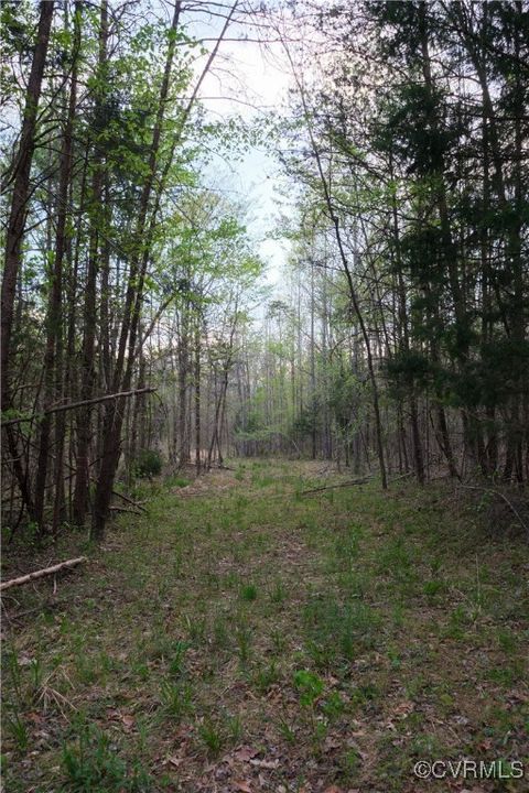 Tiny photo for 00 Poorhouse Road, Farmville, VA 23966 (MLS # 2510289)