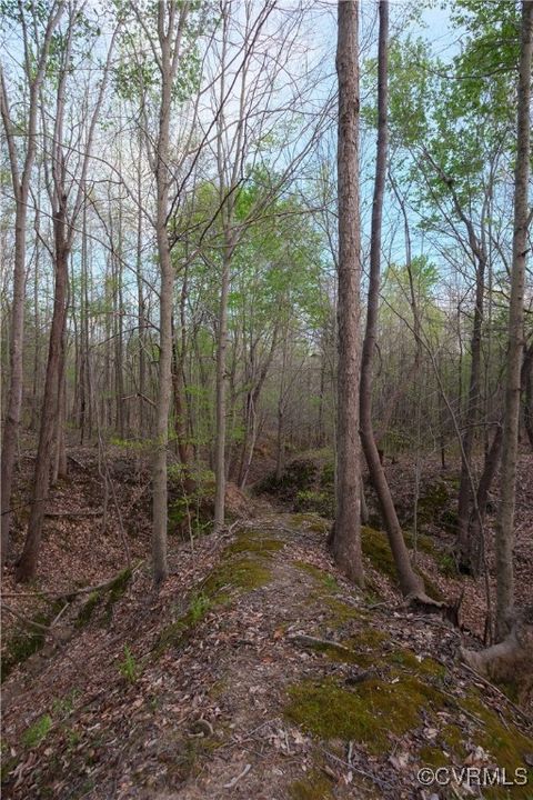 Tiny photo for 00 Poorhouse Road, Farmville, VA 23966 (MLS # 2510289)