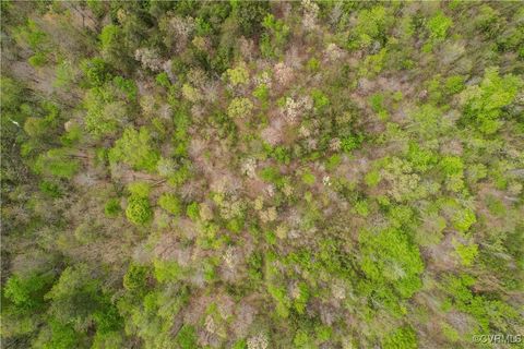 Tiny photo for 00 Poorhouse Road, Farmville, VA 23966 (MLS # 2510289)