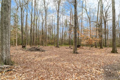 Tiny photo for 0 Proffits Road, Louisa, VA 23093 (MLS # 2508575)