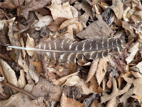 Tiny photo for 0 Proffits Road, Louisa, VA 23093 (MLS # 2508575)