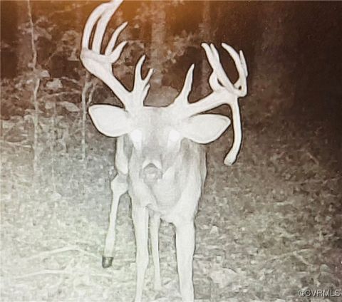 Tiny photo for 0 Proffits Road, Louisa, VA 23093 (MLS # 2508575)