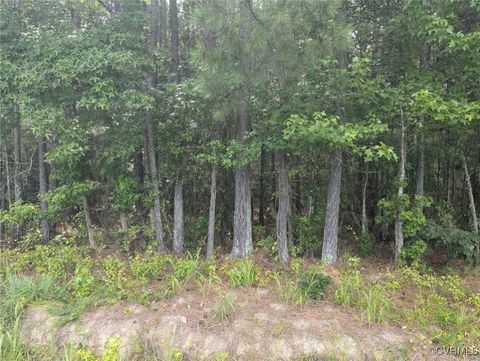 Photo of 000 Little Mill Road, Jarratt, VA 23867 (MLS # 2520718)