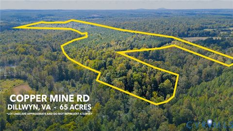 Tiny photo for 00 Copper Mine, Buckingham, VA 23936 (MLS # 2526016)