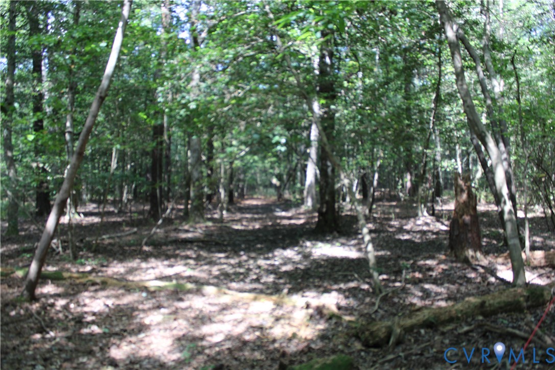 TBD74 Adkins Road