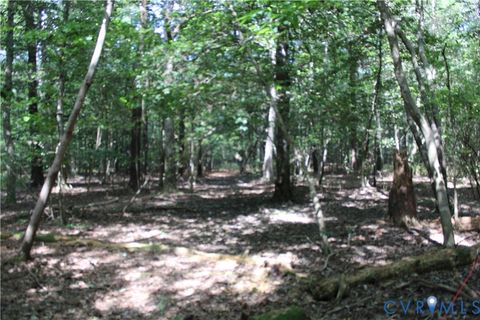 Tiny photo for TBD74 Adkins Road, Charles City, VA 23030 (MLS # 2524298)