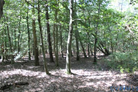Tiny photo for TBD74 Adkins Road, Charles City, VA 23030 (MLS # 2524298)