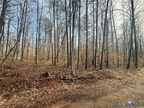 Tiny photo for 62 Willis Bluff Lane, Cumberland, VA 23040 (MLS # 2603709)