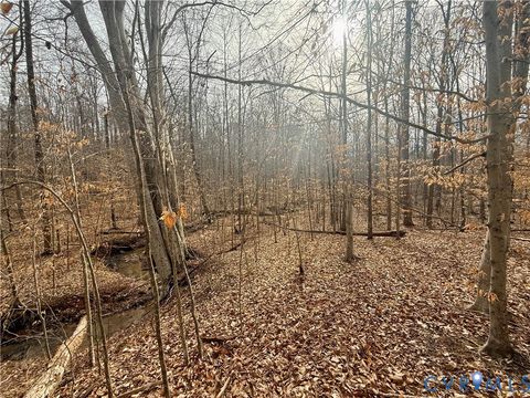 Tiny photo for 62 Willis Bluff Lane, Cumberland, VA 23040 (MLS # 2603709)