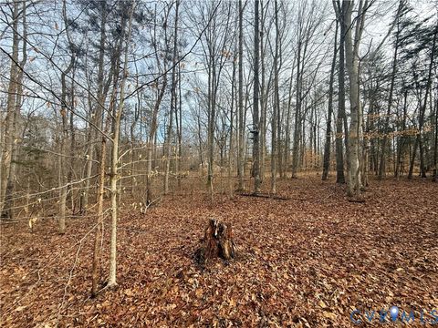 Tiny photo for 62 Willis Bluff Lane, Cumberland, VA 23040 (MLS # 2603709)