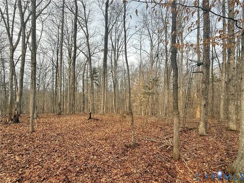 Tiny photo for 62 Willis Bluff Lane, Cumberland, VA 23040 (MLS # 2603709)