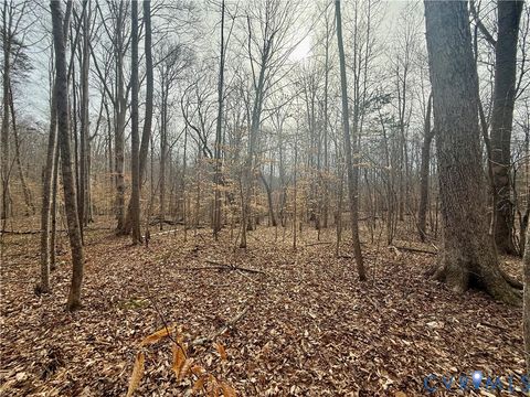 Tiny photo for 62 Willis Bluff Lane, Cumberland, VA 23040 (MLS # 2603709)