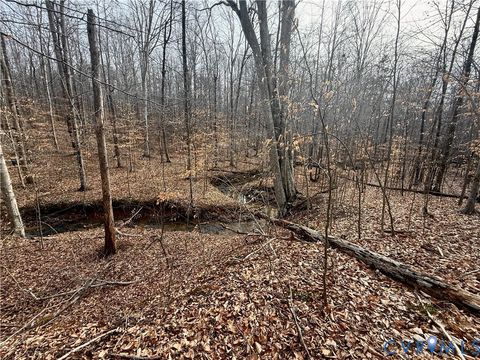 Tiny photo for 62 Willis Bluff Lane, Cumberland, VA 23040 (MLS # 2603709)