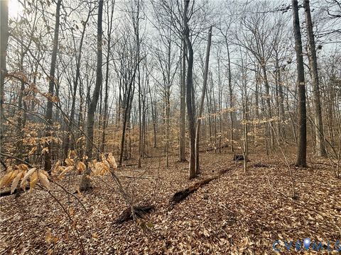 Tiny photo for 62 Willis Bluff Lane, Cumberland, VA 23040 (MLS # 2603709)